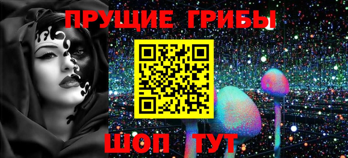 Псилоцибиновые грибы Psilocybine cubensis  Вход с VPN  Будённовск 